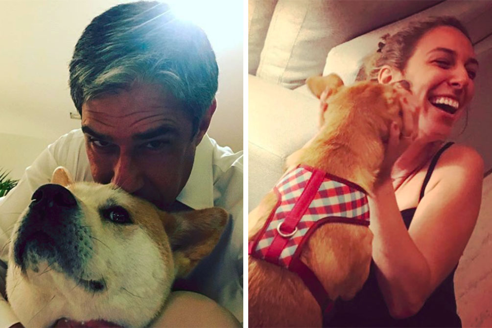 Após polêmica com cachorro, William Bonner defende namorada