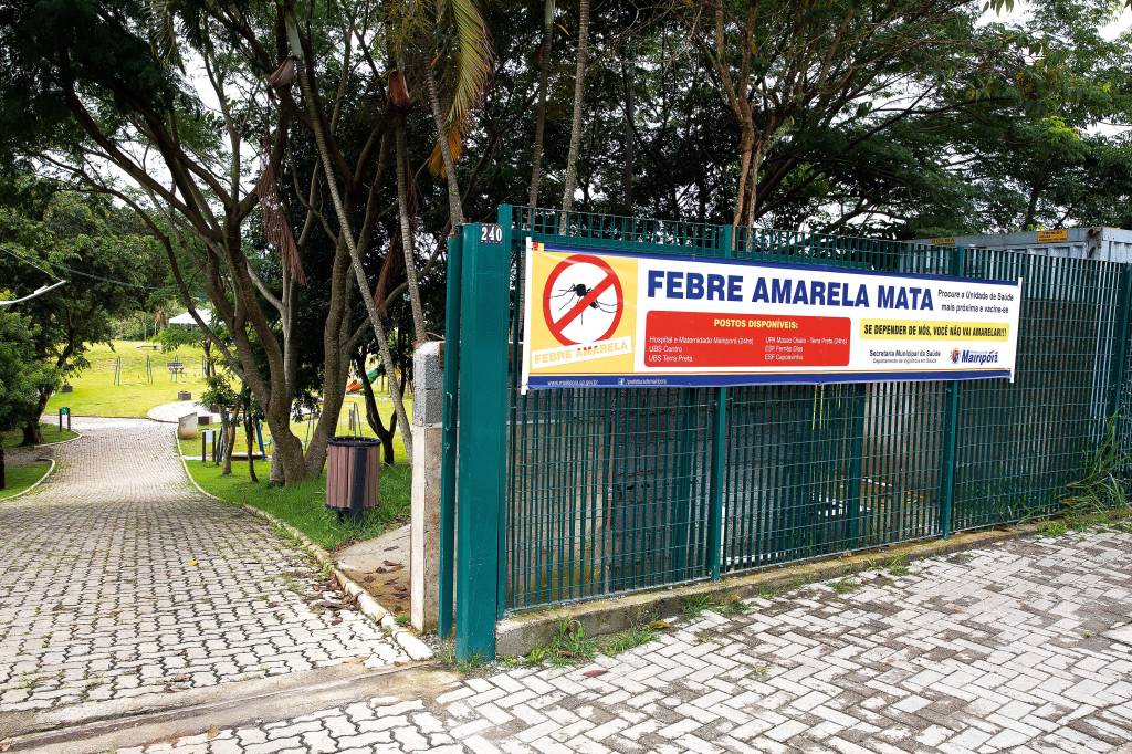 Febre Amarela Mairiporã