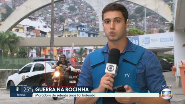 gato-chiquinho1