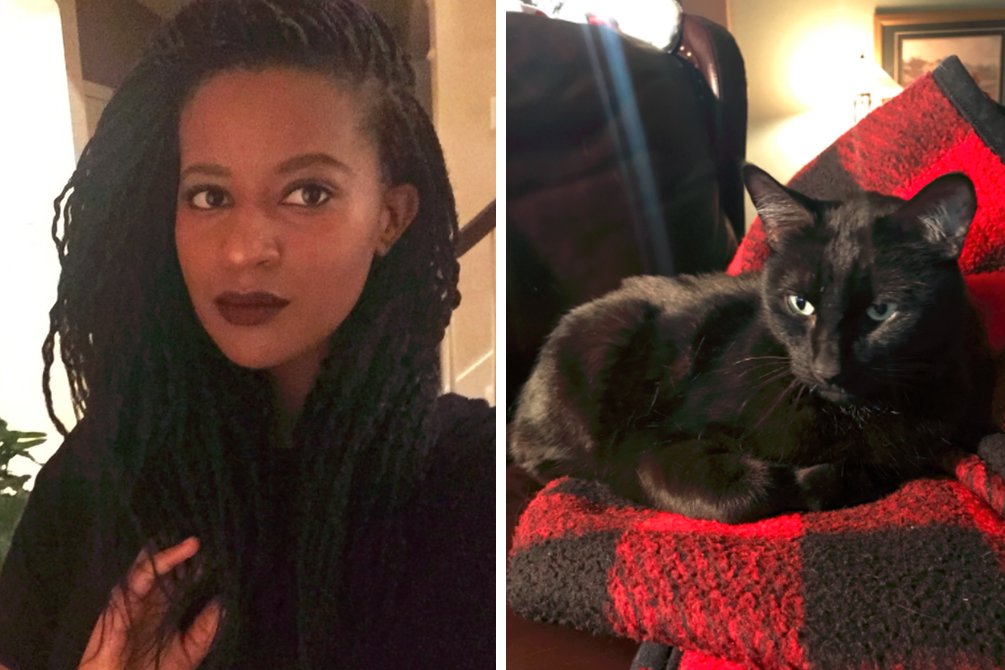 Retorno de gato após 5 anos desaparecido dá o que falar na web