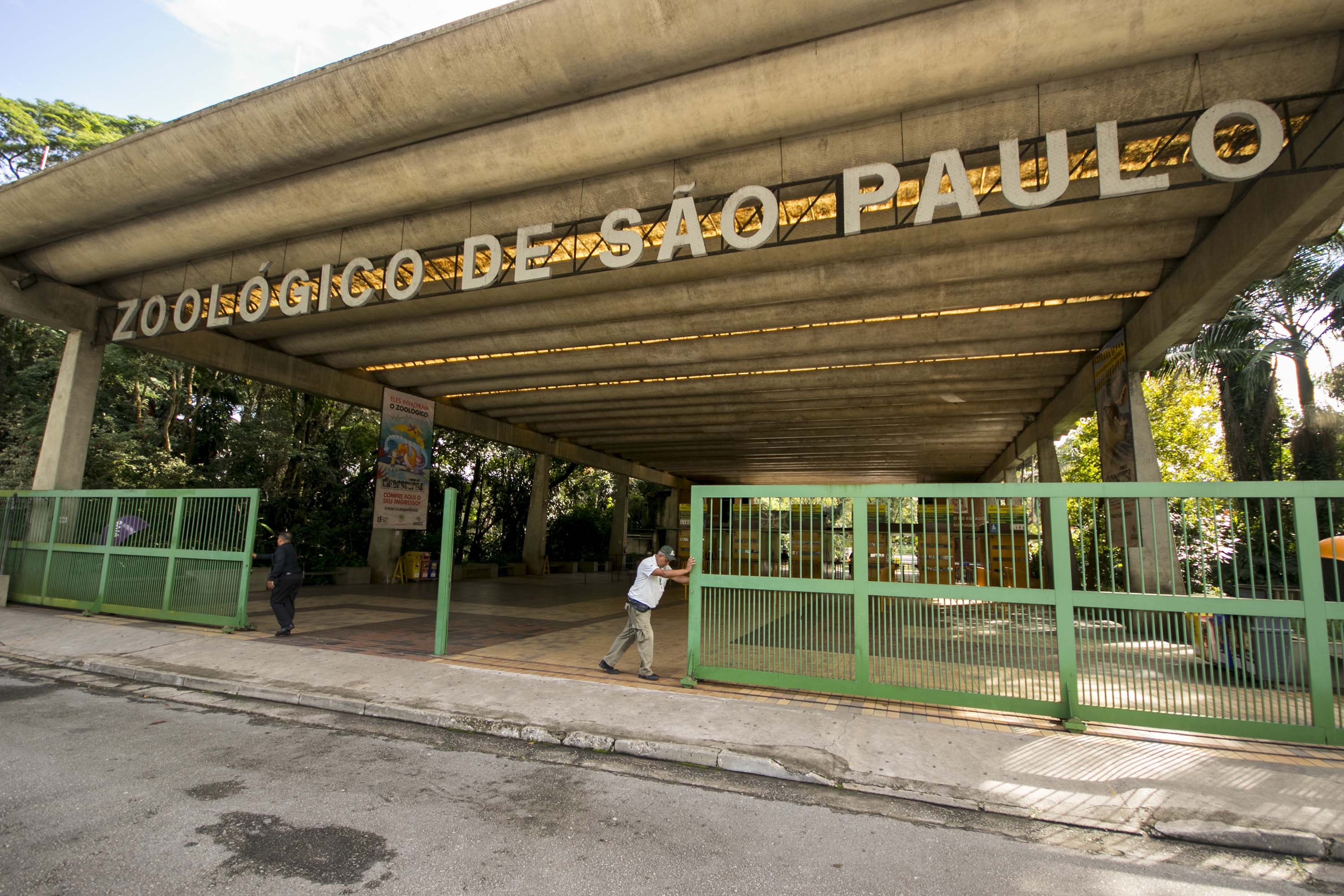 Após 51 dias fechado, Zoológico de São Paulo é reaberto | VEJA SÃO PAULO