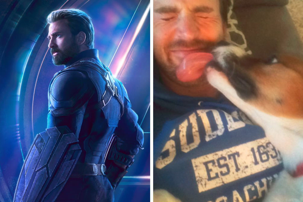 Chris Evans compartilha vídeo do primeiro encontro com cão de estimação