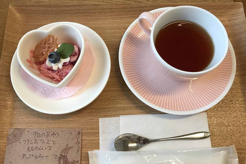 comida-hospital-japones-011