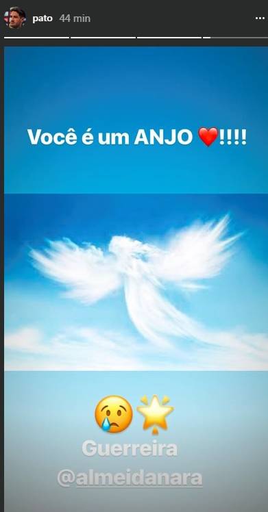 pato pato