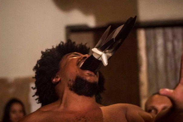 Plantar Cavalos Para Colher Sementes