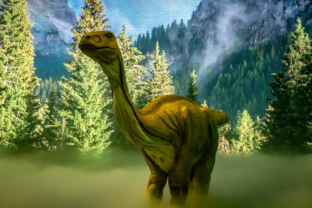 dino experience dino experience