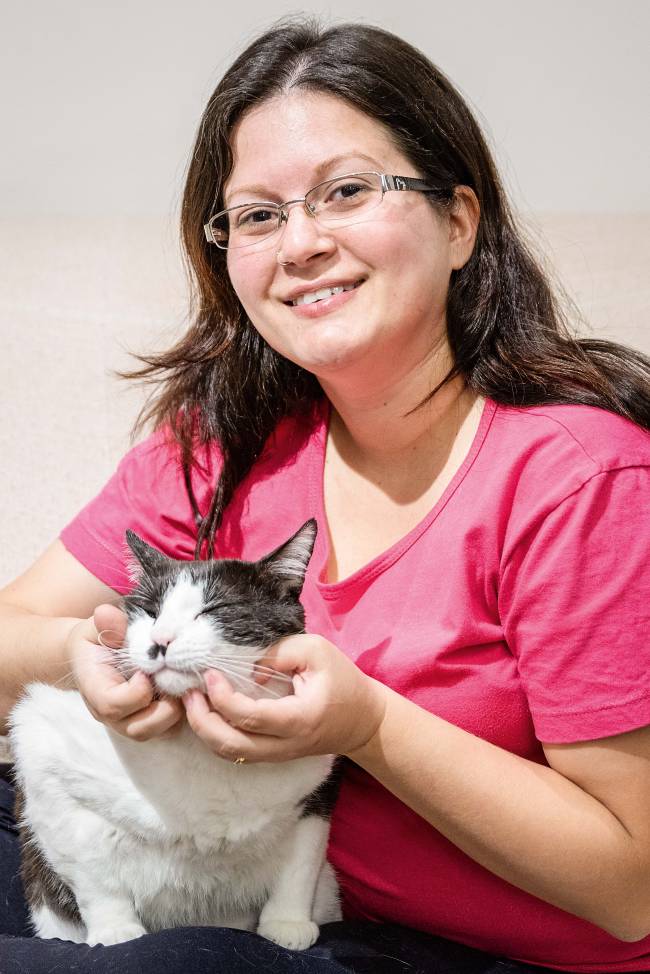 animais abandonados animais abandonados