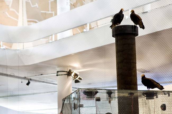 _Bandeira Branca_, obra de Nuno Ramos que integra a 29ª Bienal de Artes de São P.jpg _Bandeira Branca_, obra de Nuno Ramos que integra a 29ª Bienal de Artes de São P.jpg