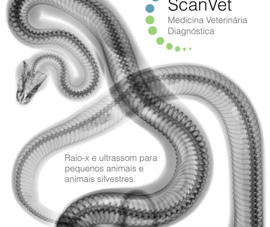 scnavet 1 – ScanVet Medicina Veterinária Diagnóstica