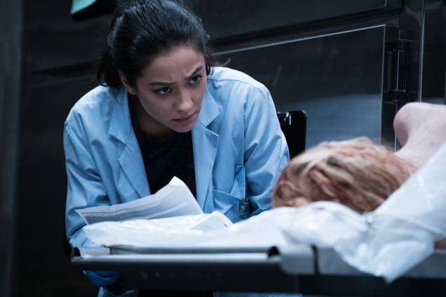 Megan (Shay Mitchell) tries to compare the picture of Hannah's driver's license with her brutalized corpse in Screen Gems'  THE POSSESSION OF HANNAH GRACE.