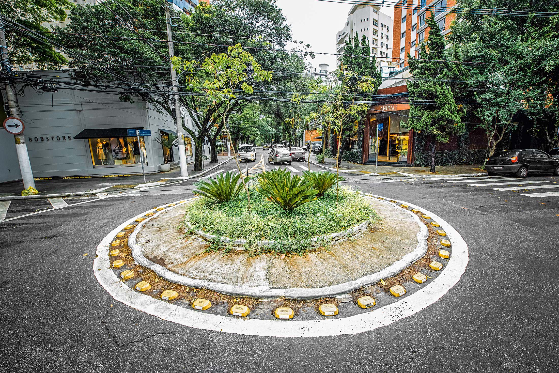 Rua Domingos Leme
