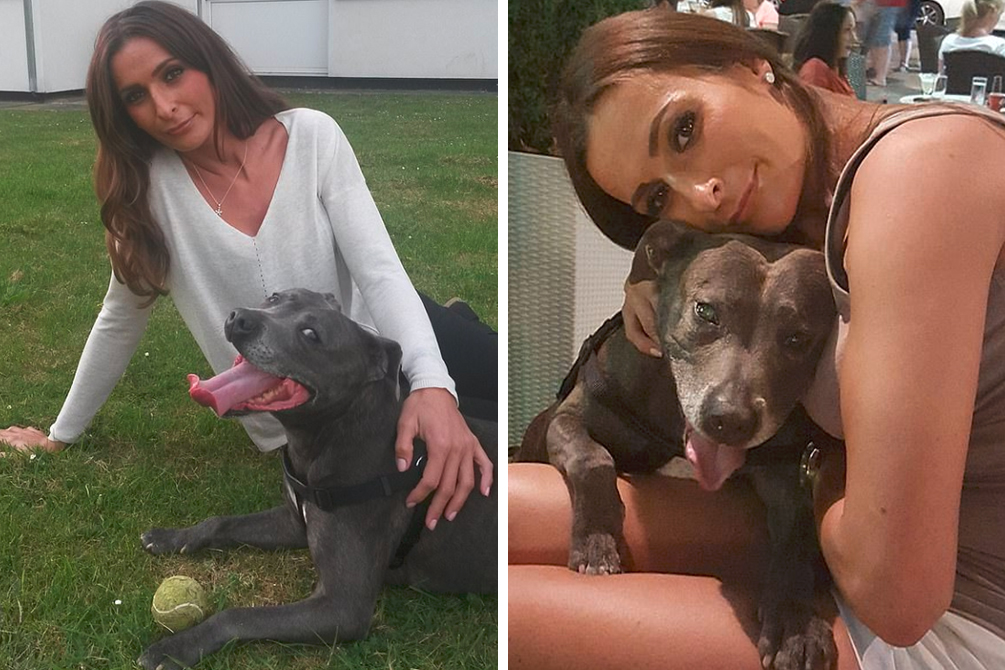 Mulher investe quase 20 000 reais em funeral para cachorro de estimação
