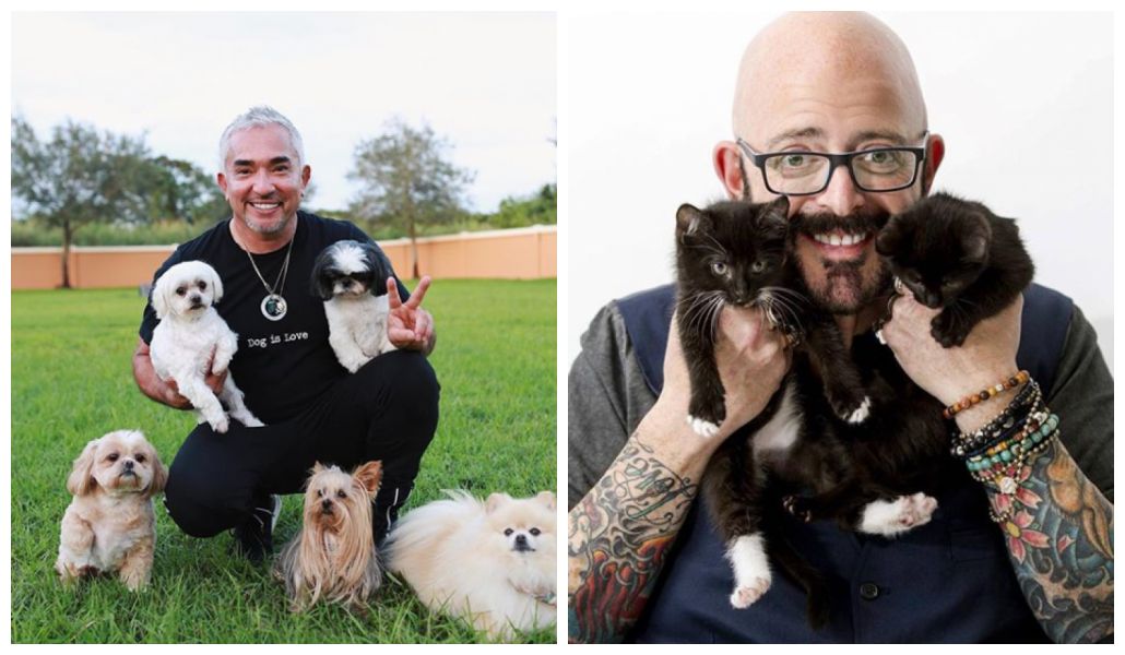 Cesar Millan e Jackson Galaxy devem vir... VEJA SÃO PAULO