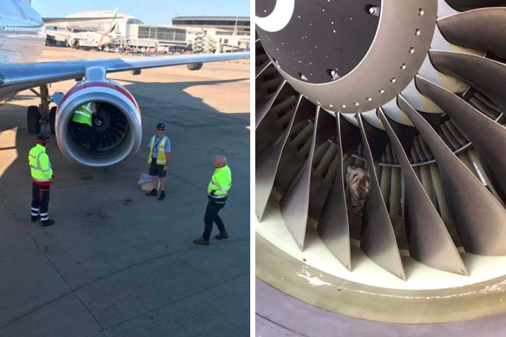 Engenheiros fazem descoberta inusitada durante inspeção pré-voo