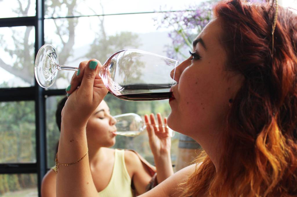 Wine Party Day, a feira de vinhos da importadora Cantu