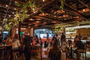 Lupe Bar y Taqueria _ bares/gastronomia