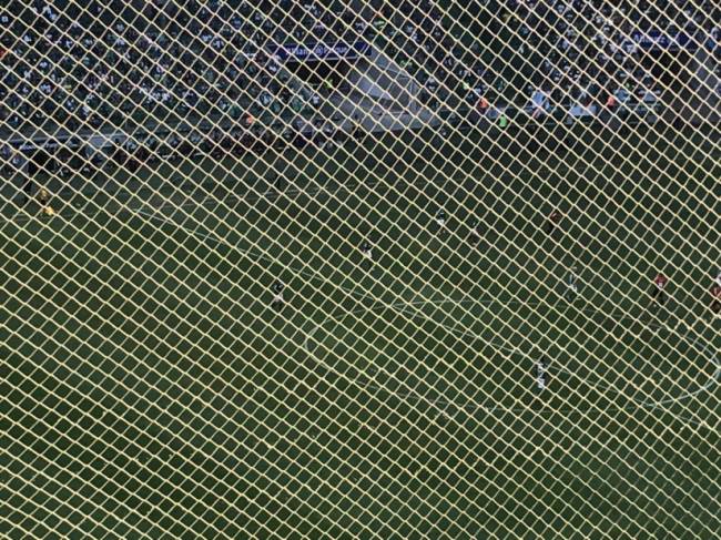 rede Allianz Parque