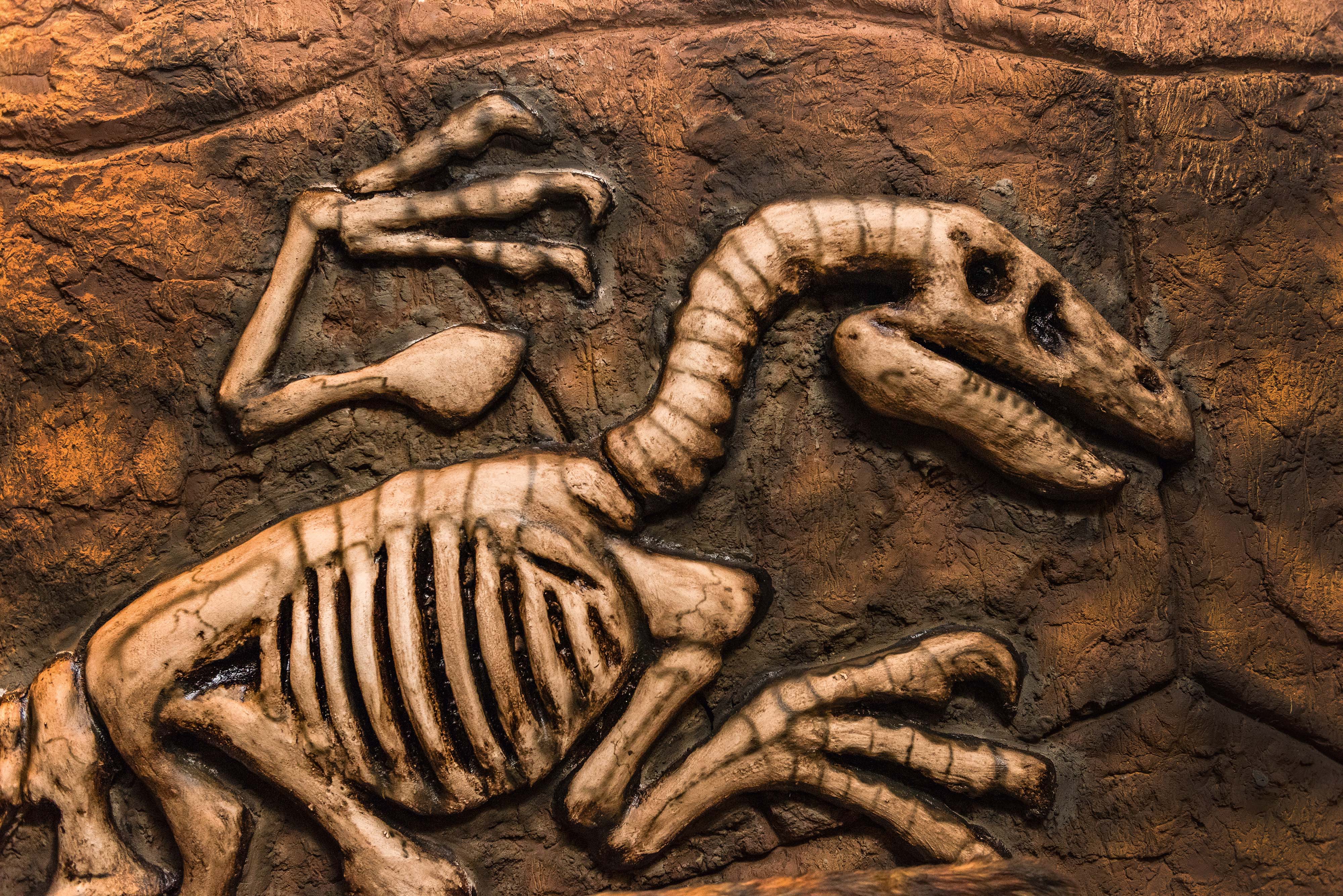 Vale dos Dinossauros
