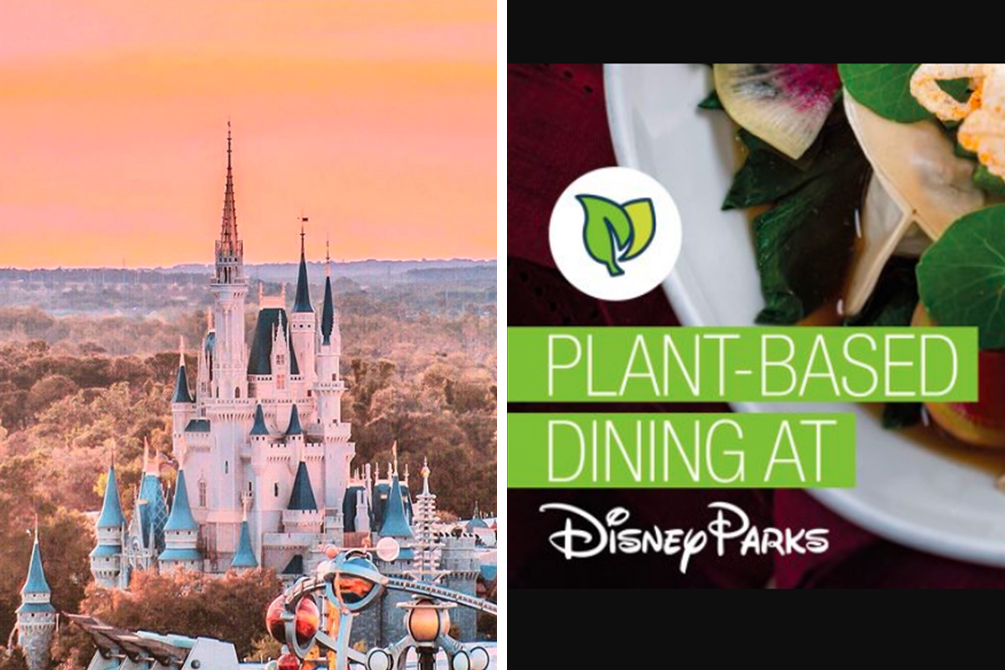 Disney terá mais de 400 novas receitas veganas a partir de terça (1º)
