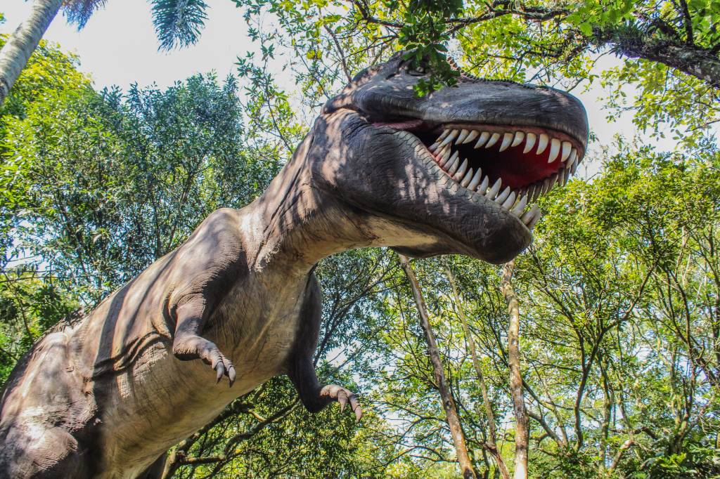 O Mundo dos Dinossauros O Mundo dos Dinossauros