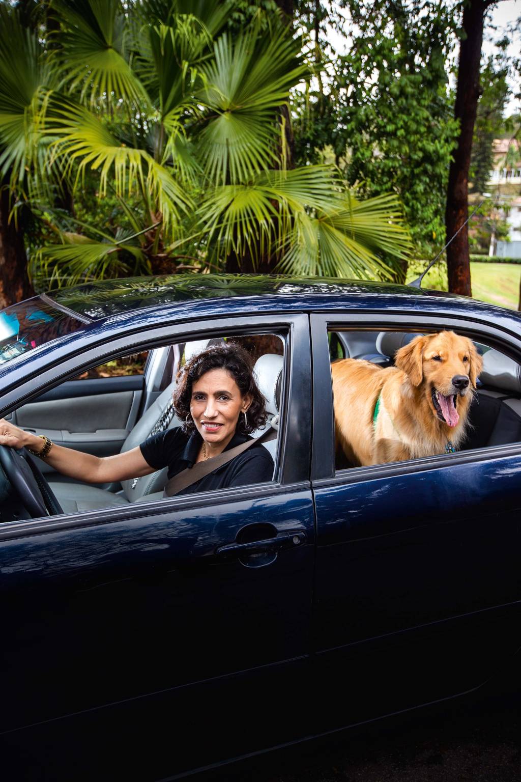 MOBILIDADE – PETDRIVE