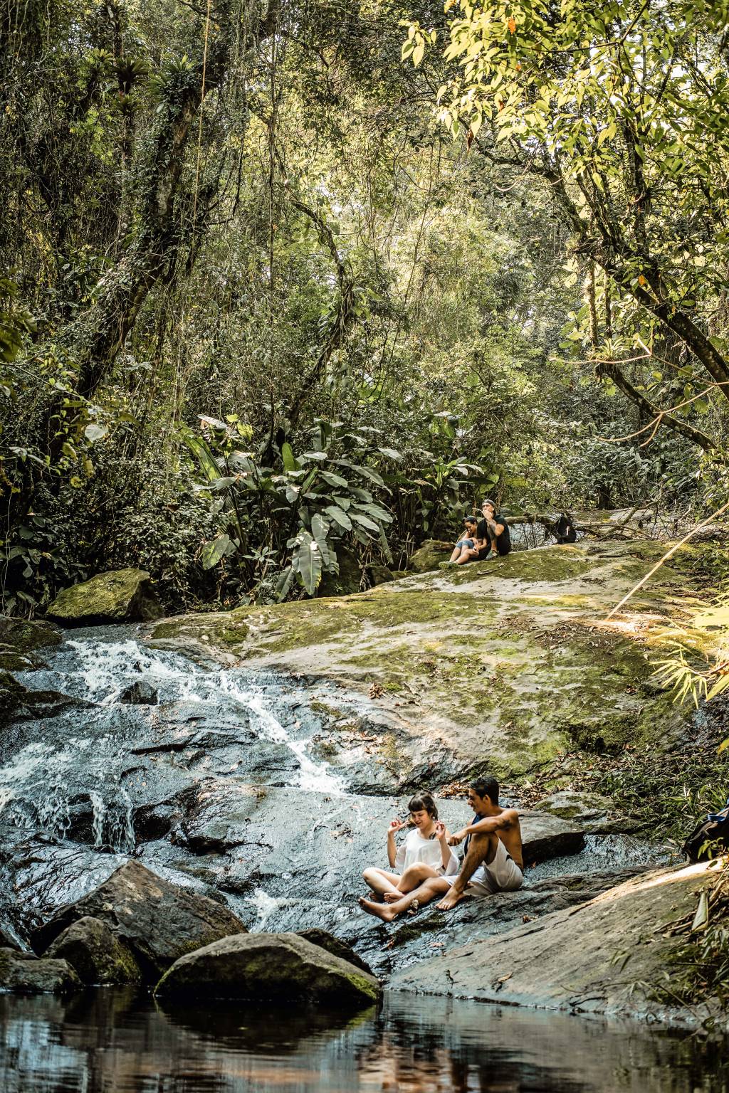 A imagem mostra um rio no Parque Estadual da Cantareira