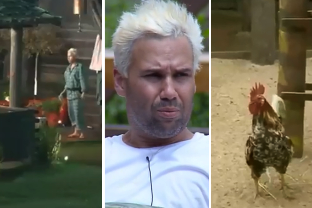 Público pede expulsão de peão por maus tratos aos animas em A Fazenda