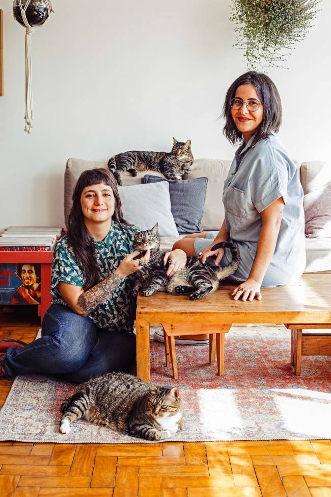 Gatos arranham reinado canino e ganham serviços, eventos e produtos em SP