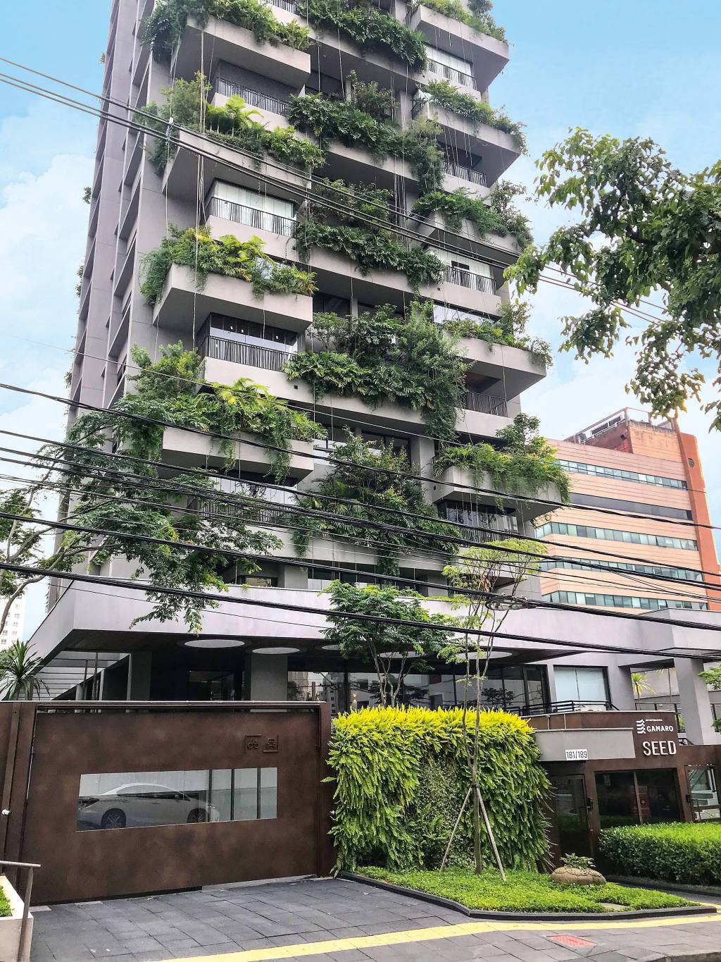 Edifício da Vila Olímpia tem árvores de até 5 metros nas varandas