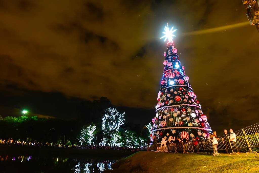 Tudo sobre árvore de natal | VEJA SÃO PAULO