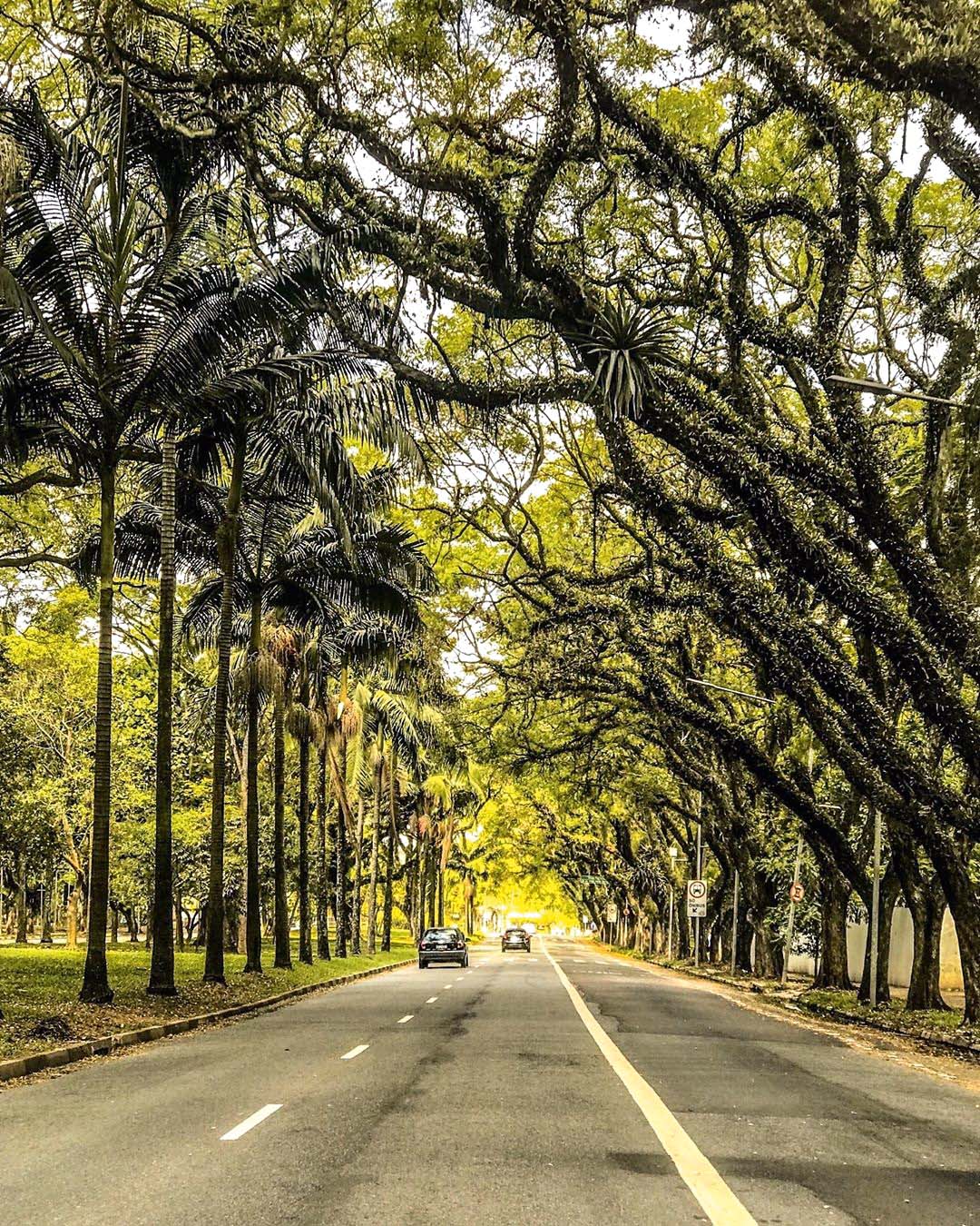 cidade universit&aacute;ria@kqf78