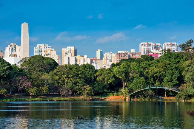 Os dez mais: gigantes de São Paulo que são os campeões em suas áreas