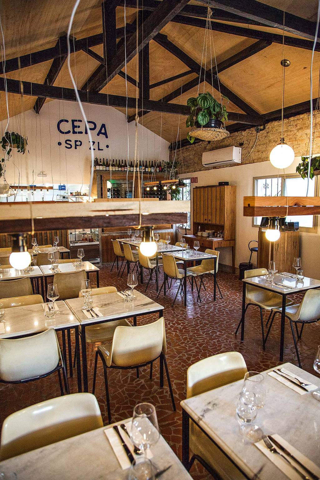 Cepa Cepa