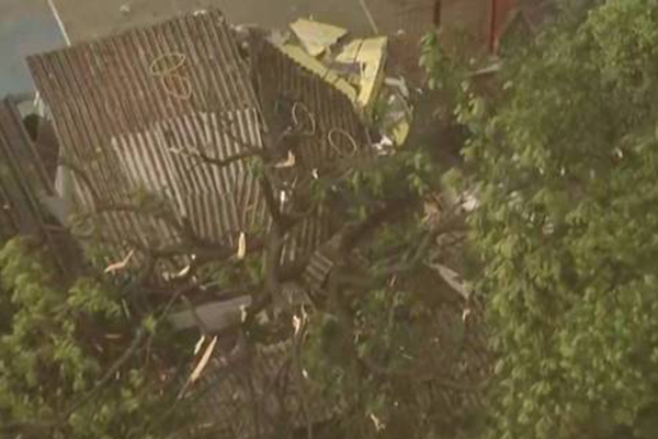 Árvore cai em cima de creche e deixa crianças feridas na capital