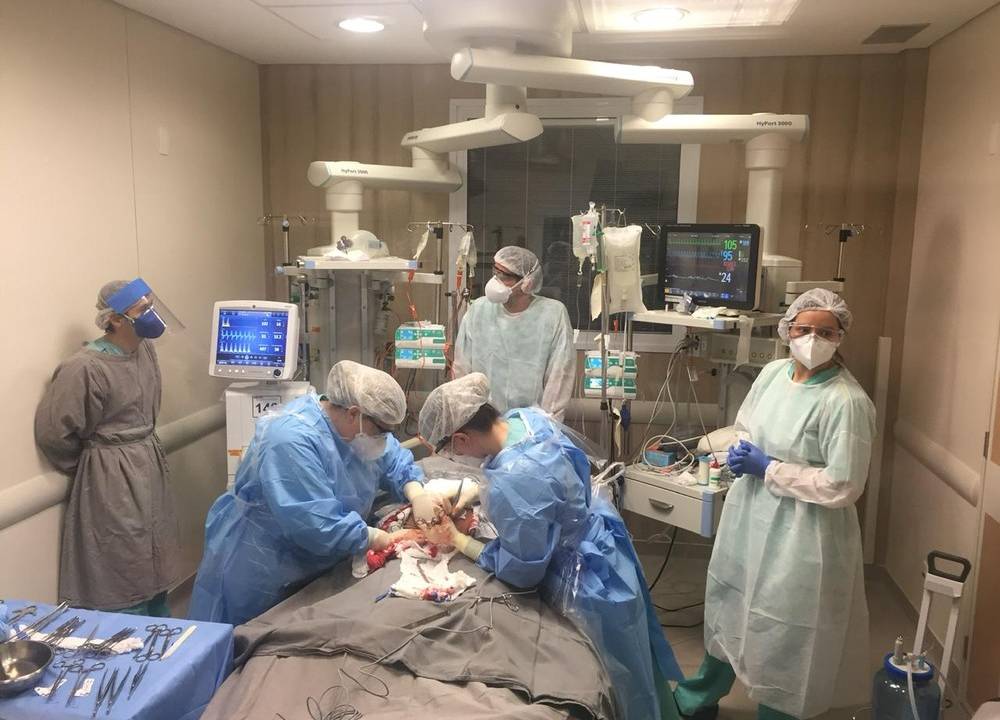 Médicos realizam operação em paciente