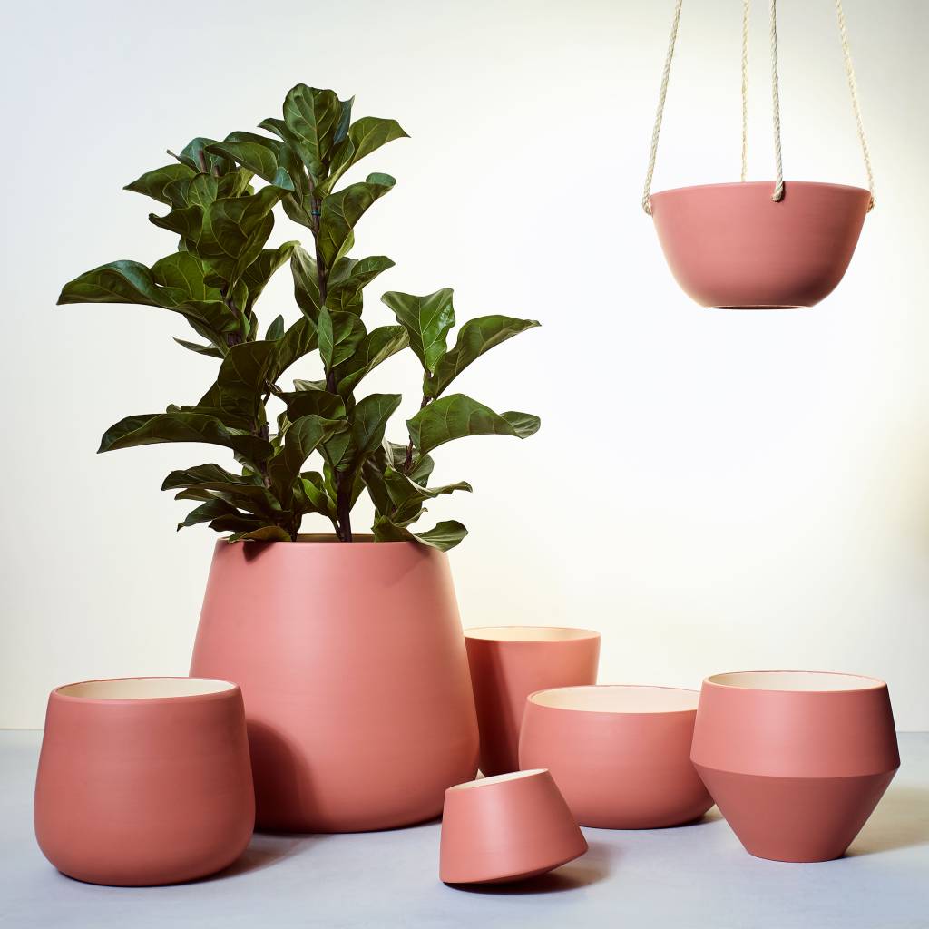 Botânica e Tal faz delivery de plantas no Dia das Mães