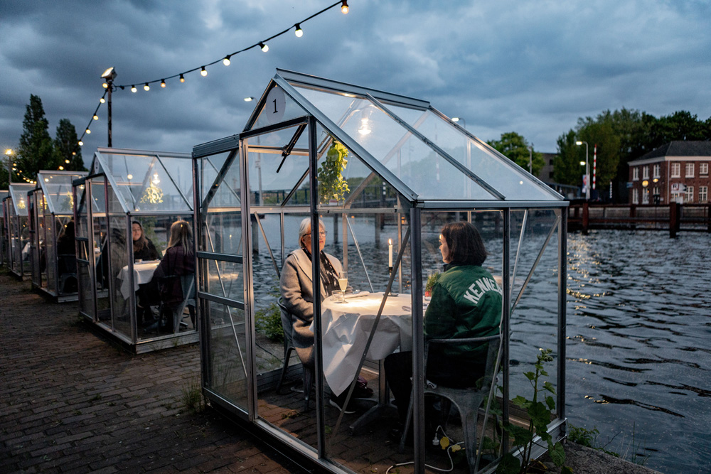 estufa de vidro amsterdã quarentena estufa de vidro amsterdã quarentena