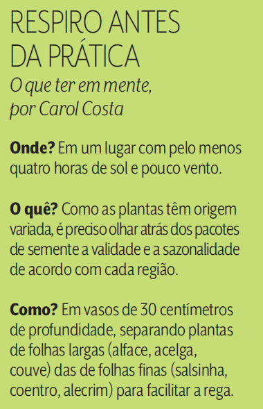 carol costa carol costa
