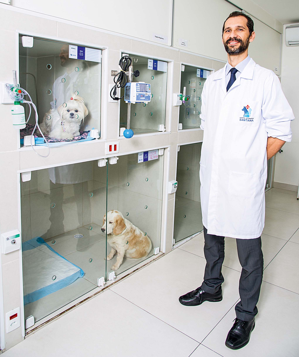 diário dos sem quarentena veterinário Hannan