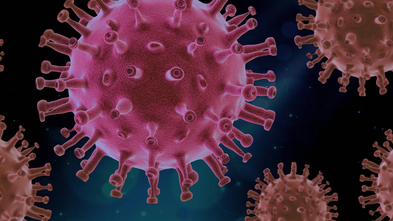 Imagem gráfica mostra o vírus SARS-CoV-2