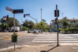 Avenida Brasil (Rogério Pallatta)