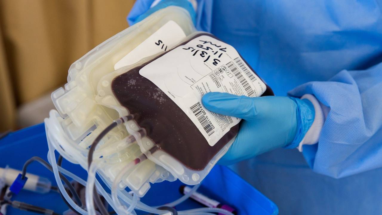 A imagem mostra bolsas com doações de sangue