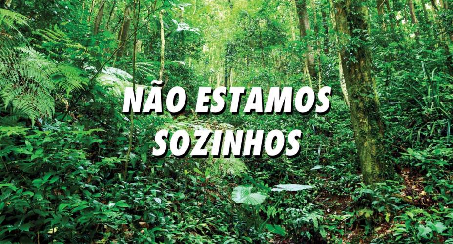 Ofélia Munduruku, de Raquel Brust, e Não Estamos Sozinhos, de Felipe Morozini: painéis de 9,5 metros por 4,8 metros são observados de dentro do veículo, por até dois minutos