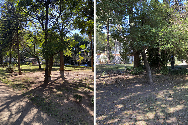Praças das Guianas e Cedro do Líbano, no Jardim América e no Jardim Paulista, respectivamente: pouco uso