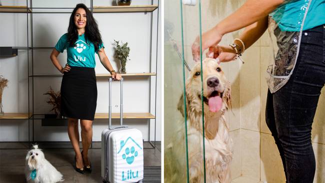 Marca oferece banho, tosa e outros cuidados pet em domicílio