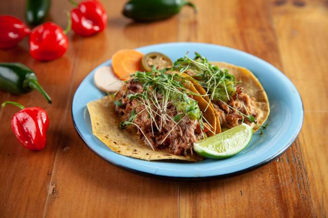 Carnitas: tacos para comer com as mãos