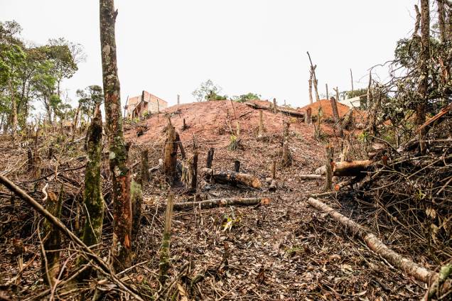 Bairro em construção: depois de causar um incêndio, os loteadores derrubaram as árvores que sobraram e construirão novas casas