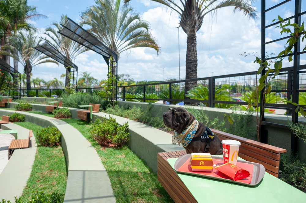 Shopping abre praça de alimentação pet friendly com 500 metros quadrados