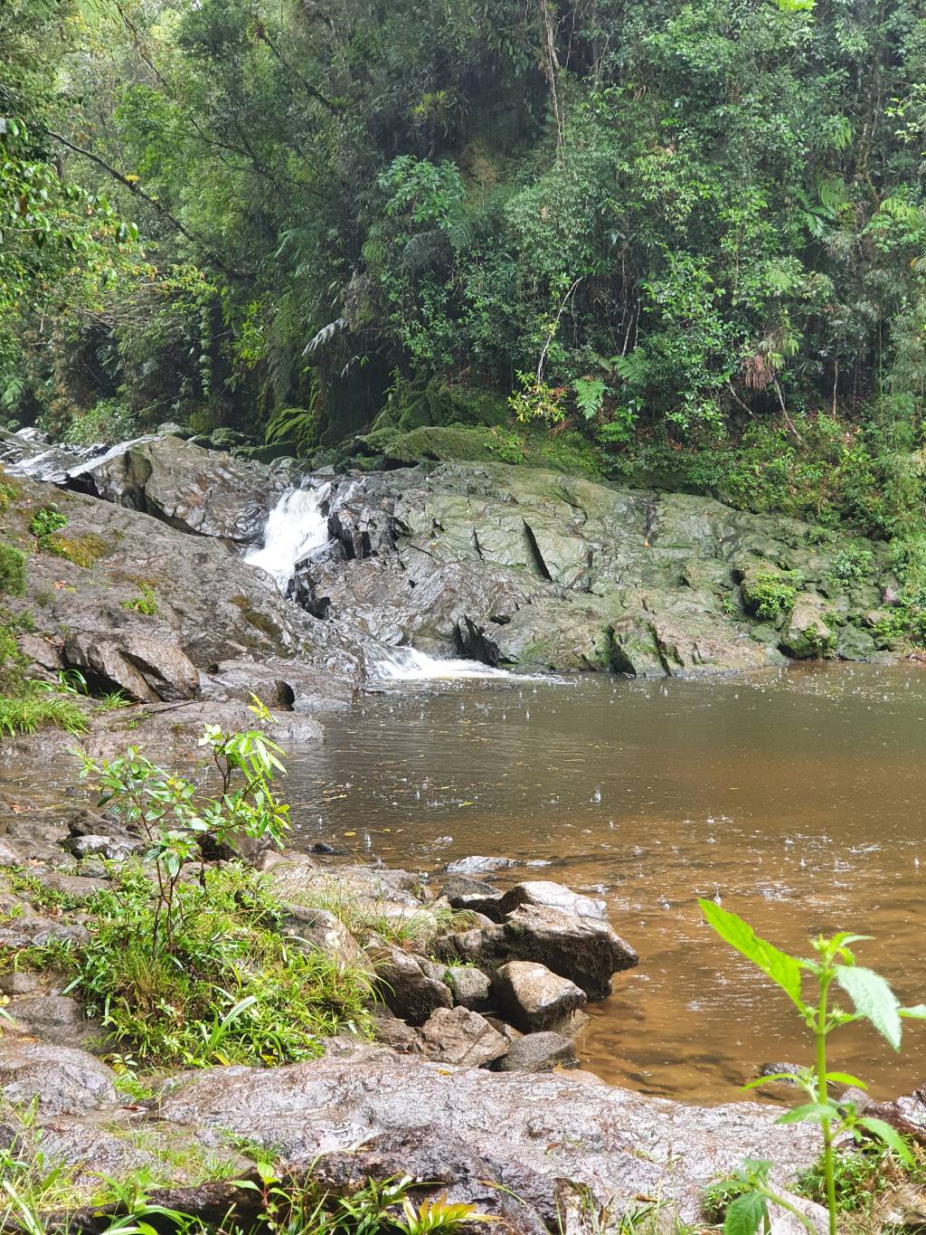 cachoeira do sagui Imagem mostra a Cachoeira do Sagui rodeada pela Mata Atlântica