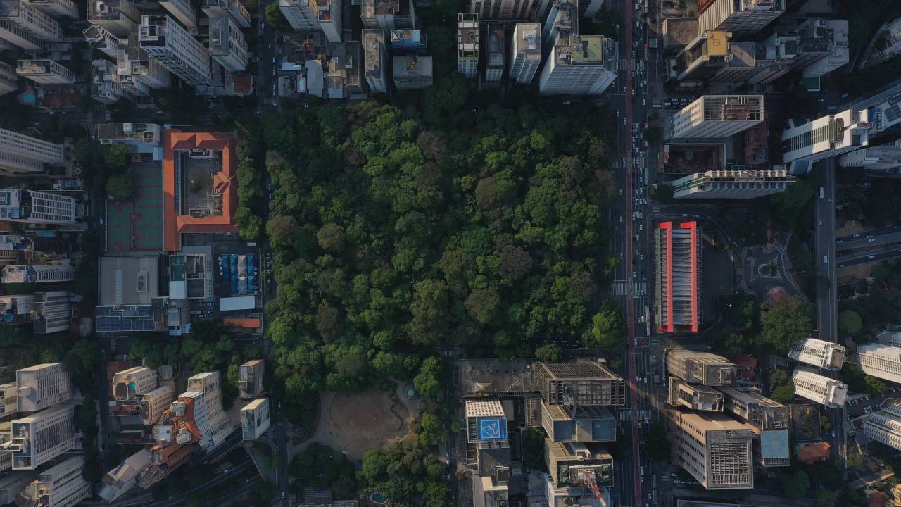 Parque Trianon Avenida Paulista Passeio
